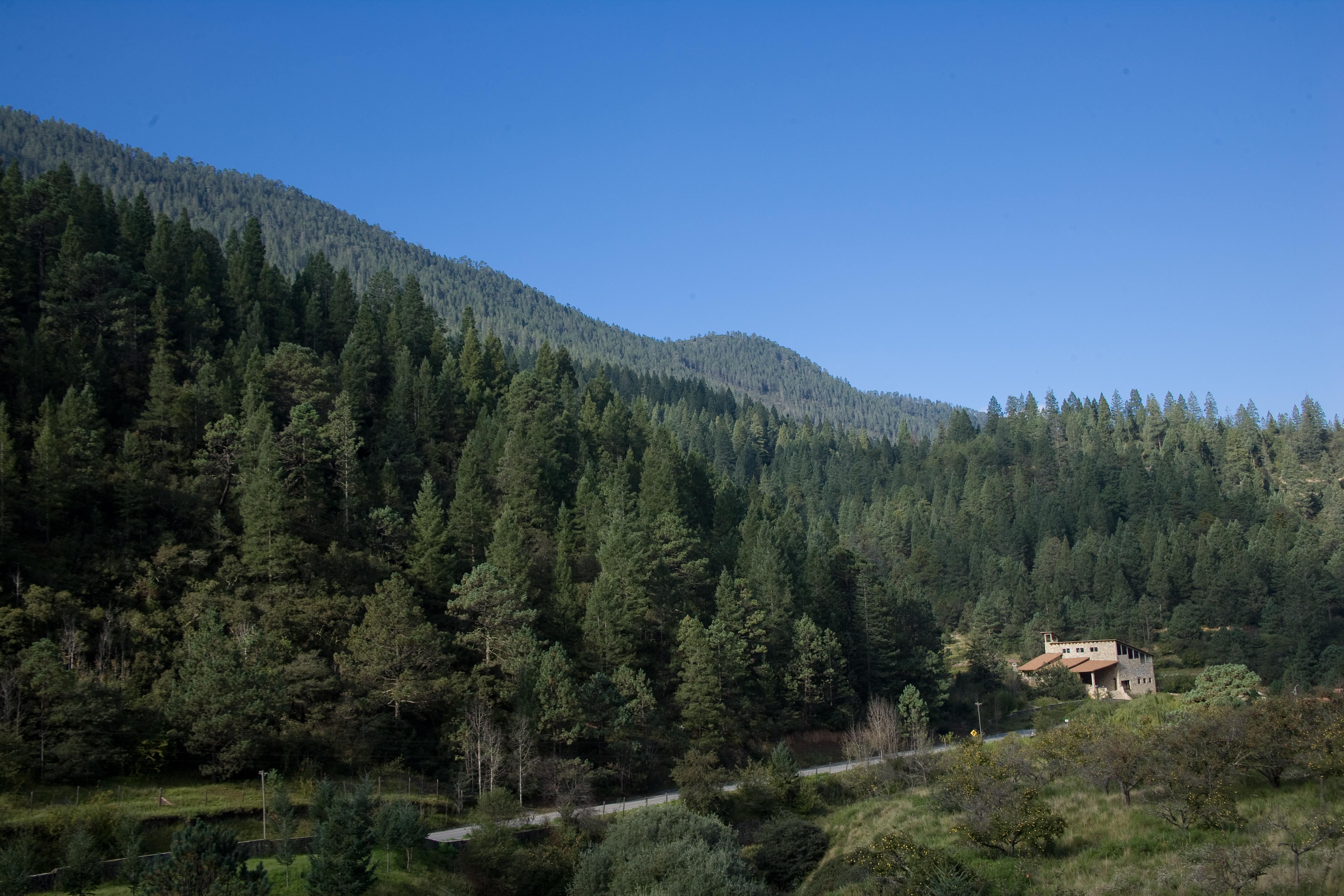 Готель Bosques De Monterreal San Antonio de las Alazanas Екстер'єр фото
