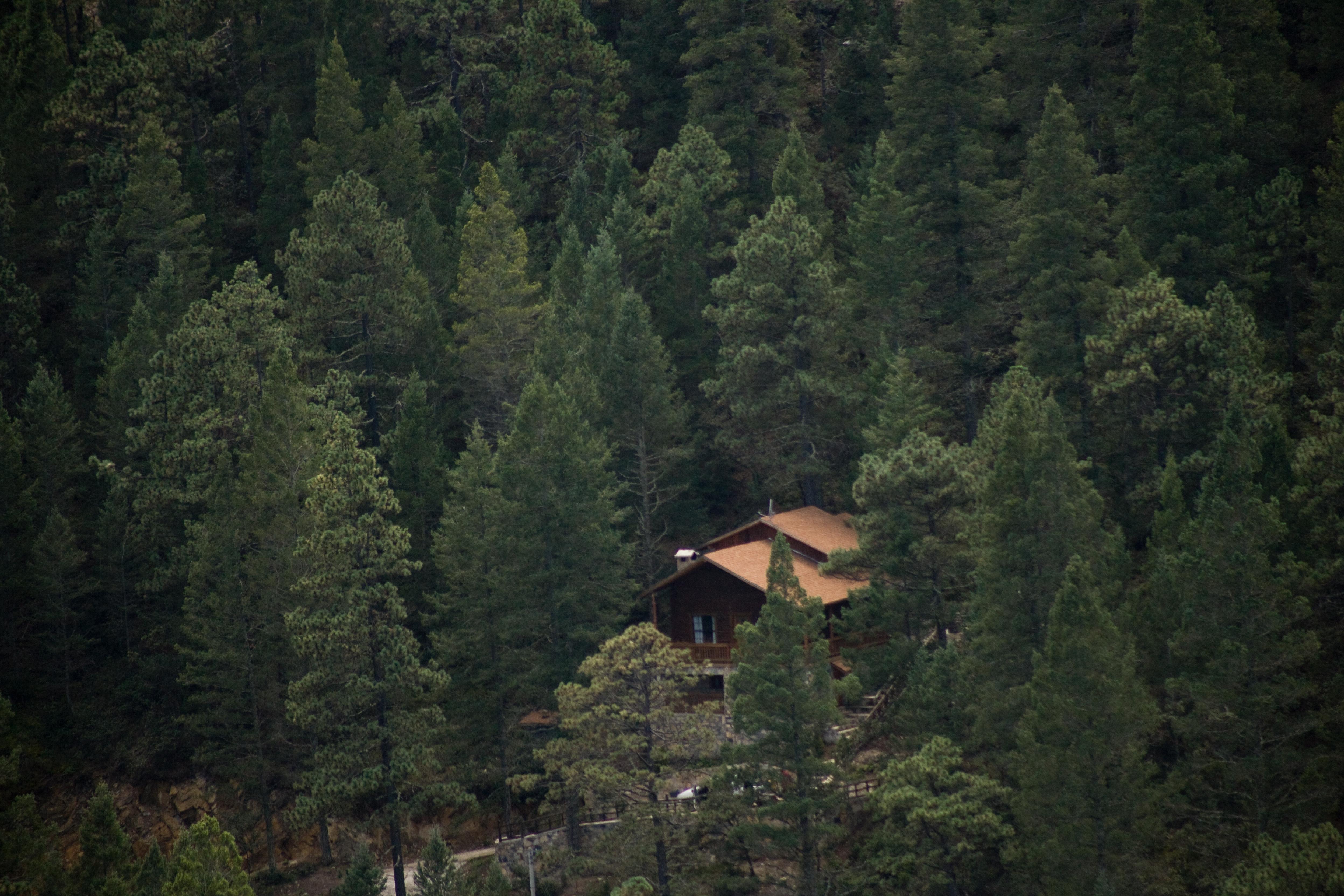 Готель Bosques De Monterreal San Antonio de las Alazanas Екстер'єр фото