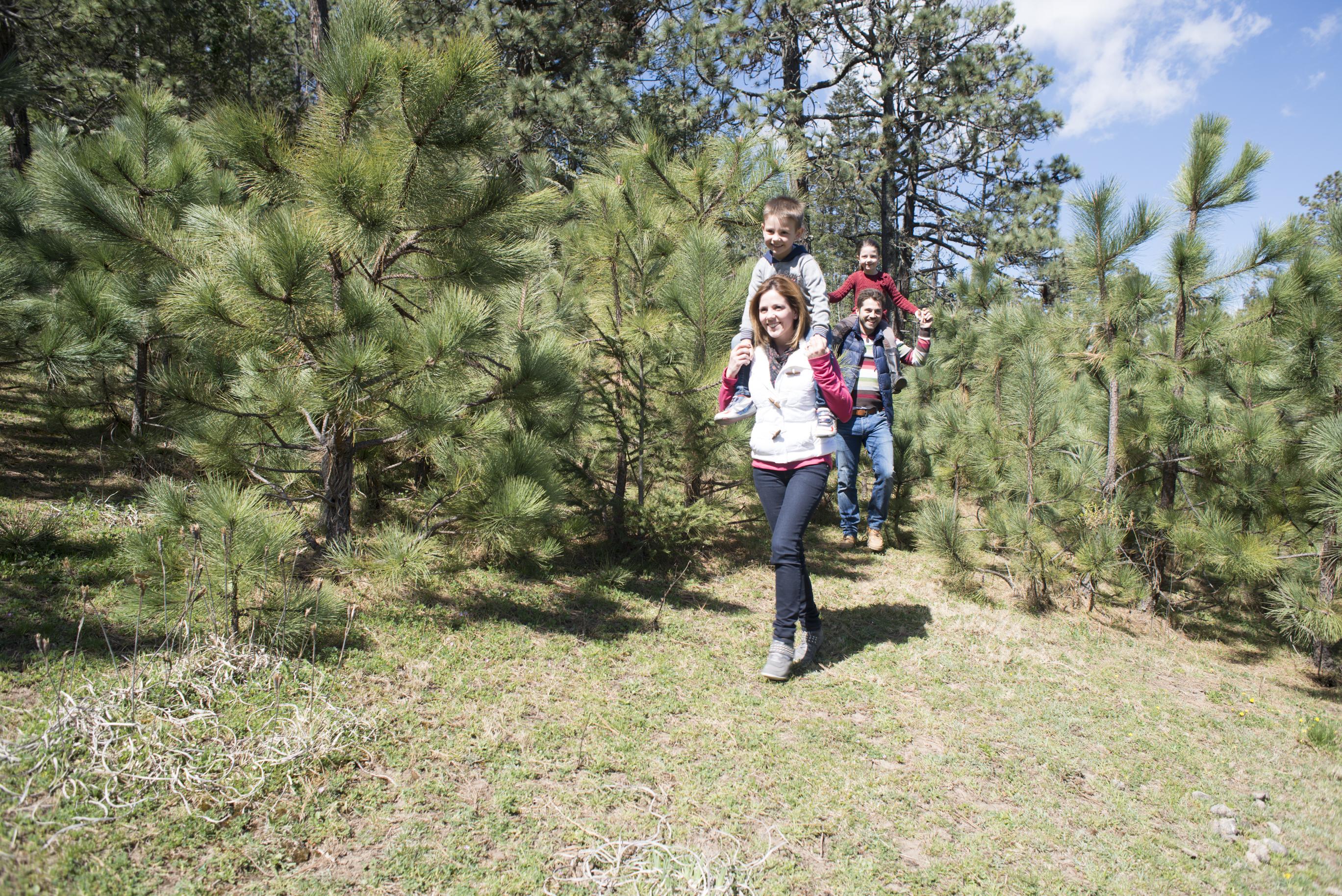Готель Bosques De Monterreal San Antonio de las Alazanas Екстер'єр фото
